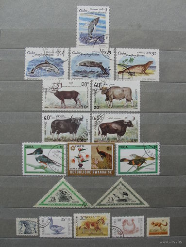 Продажа коллекции с 1 рубля! Фауна на почтовых марках мира.