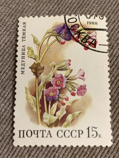 СССР 1988. Медуница темная. Марка из серии