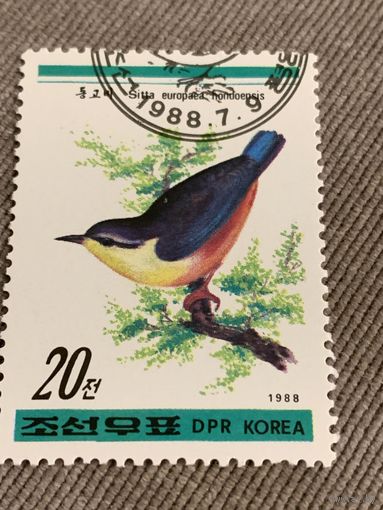 Кндр 1988. Птицы. Марка из серии