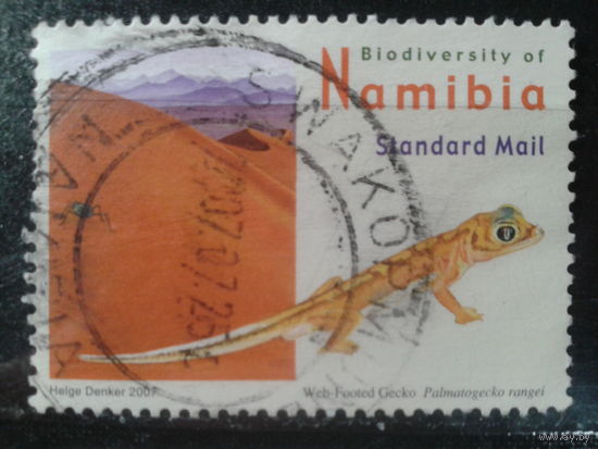 Намибия, 2007. Намибийский геккон