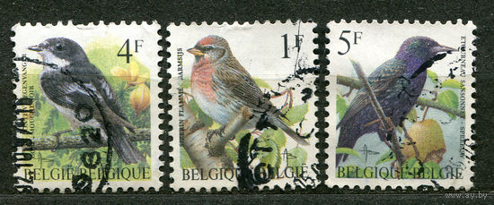 Певчие птицы. 1992-95. Бельгия. Серия 3 марки