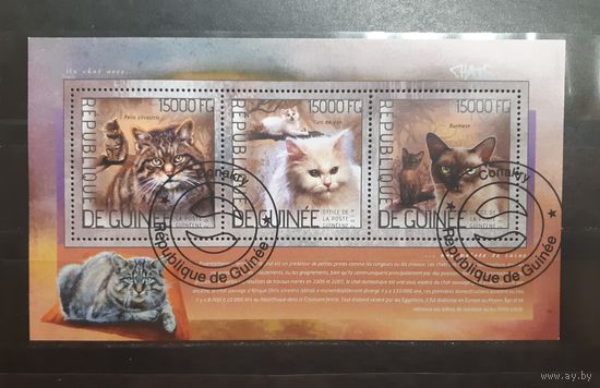 Республика Гвинея. 2014 год. Фауна. Кошки. Блок (761)