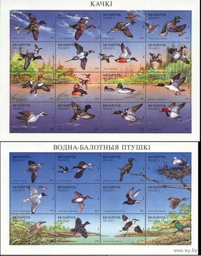 Беларусь 1996  Водно-болотные птицы