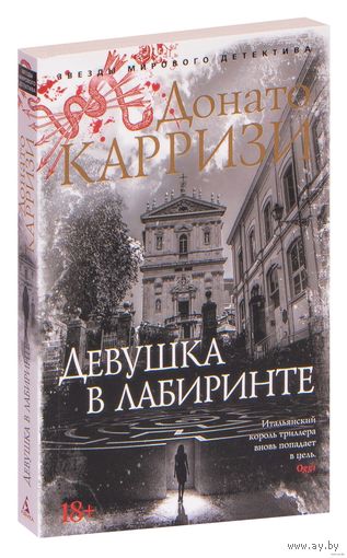 Девушка в лабиринте. Карризи