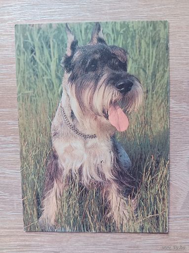 Календарик 1993