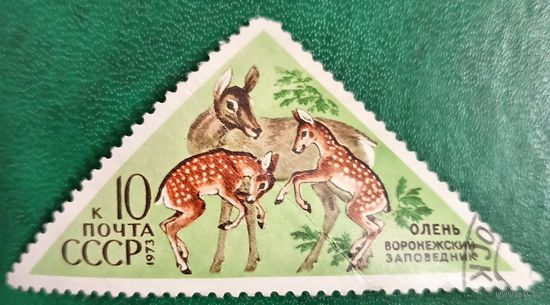 СССР 1973. Воронежский заповедник. Олени