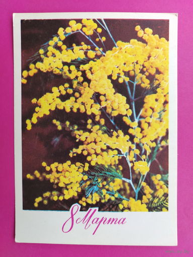 8 марта! Чистая. 1976 года. Костенко. 2145.