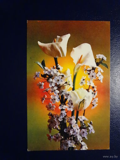 С праздником!  Цветы.  1975 г.  подписанная.