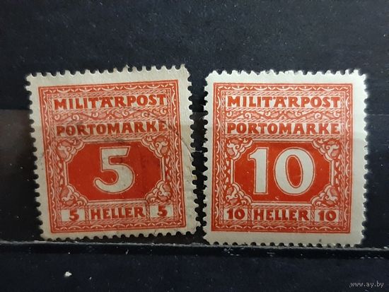 БОСНИЯ И ГЕРЦЕГОВИНА 1917г. Чист*