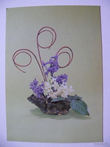 Кузнецова Л.(фото), Композиция из цветов, 1988, чистая.