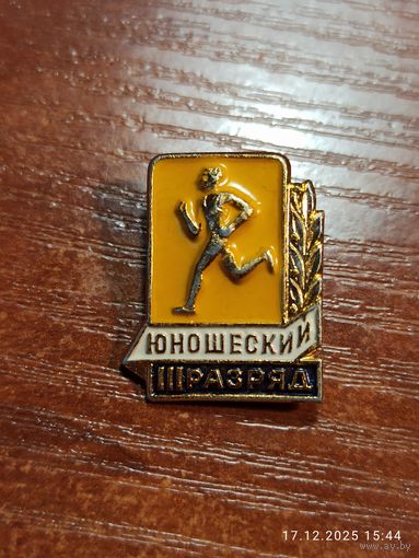 Знак значок Юношеский разряд 3