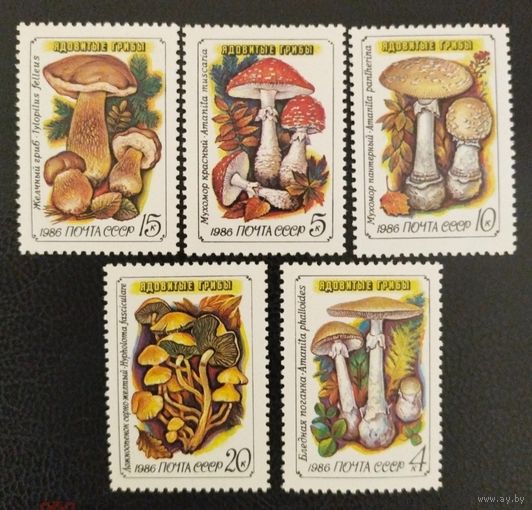 Ядовитые грибы.  СССР,  1986