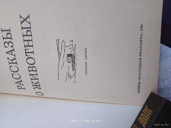 Приключения
