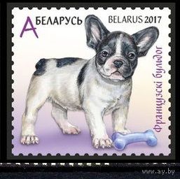Беларусь 2017 Фауна Французский бульдог **