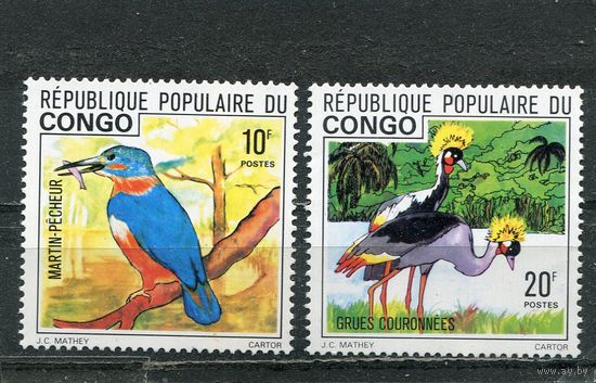 Конго. Фауна. Птицы