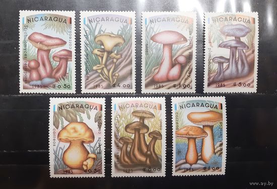 Никарагуа. 1985 год. Флора. Грибы (968)