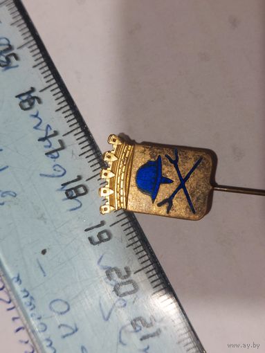 Значок Швеция