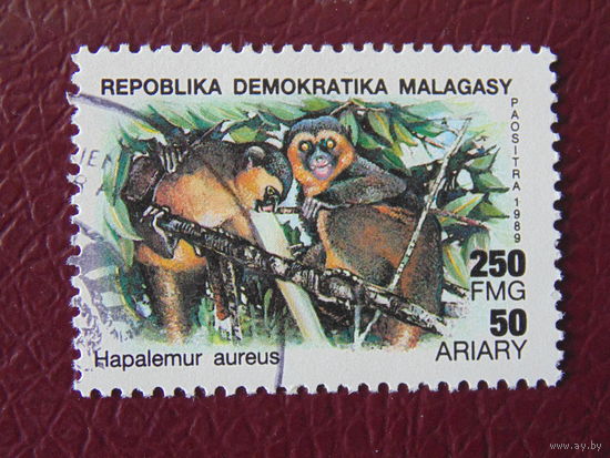 Мадагаскар 1989 г. Фауна.