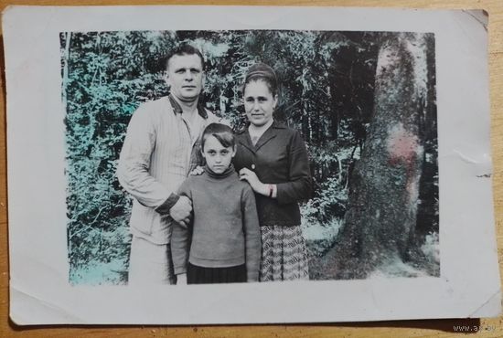 Фото в коллекцию