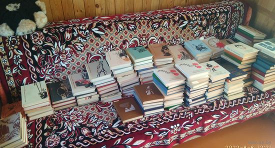 Серия книг ( пламенные революционеры).