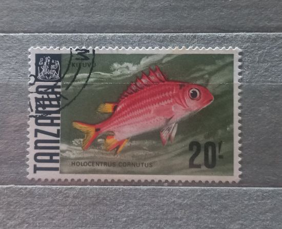 Танзания. Фауна.