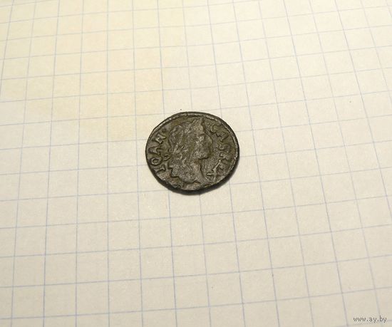 Боратинка 1664