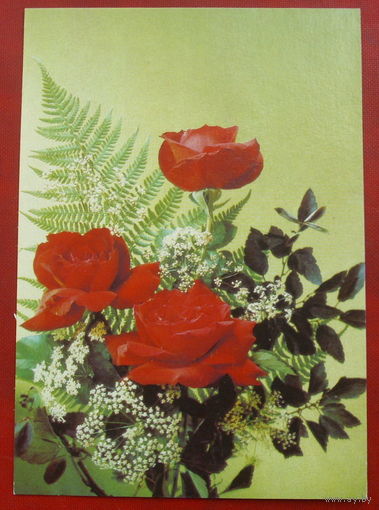 Цветы. Подписанная. 1991 года. Дергилева. 377.