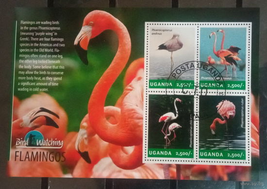 ЛИСТ ФАУНА ПТИЦЫ  СТО