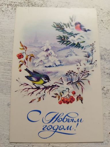 Комарова. ЧИСТАЯ. 1985