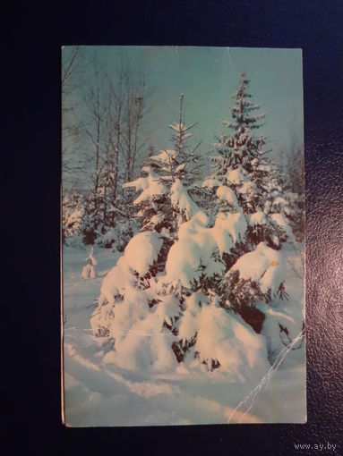 Примите наилучшие пожелания в Новом году!  1974 г.  Зимний лес.  двойная.  подписанная.