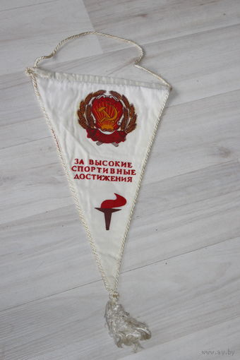 Вымпел, за высокие спортивные достижения.