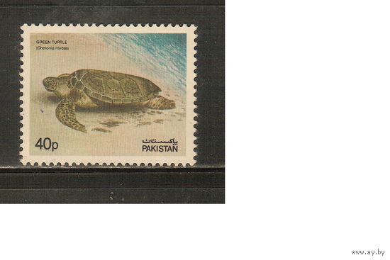 Пакистан-1981 ,(Мих.548)  ** ,  Морская Фауна,Черепахи,  (одиночка)