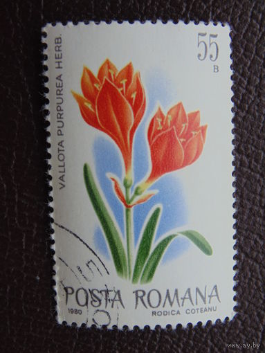 Румыния 1980 г. Цветы.