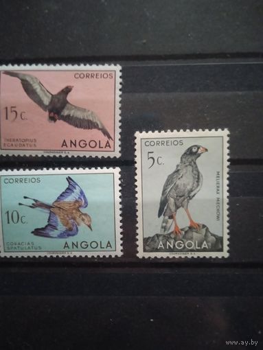 Фауна ангола