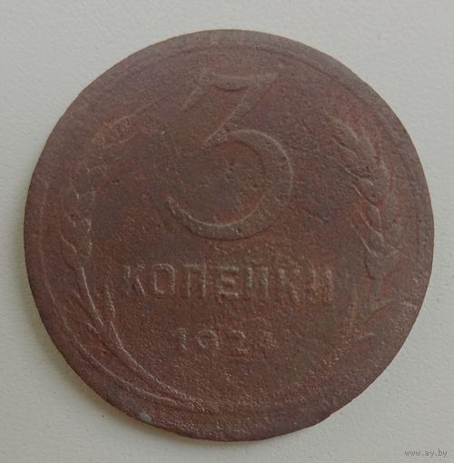 3 копейки 1924.