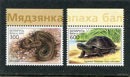 Беларусь 2003. Фауна. Рептилии