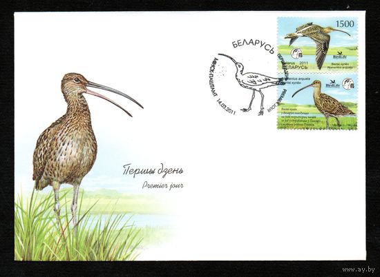 Беларусь 2011 год  Конверт первого дня Птица года. Большой кроншнеп.