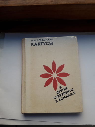 Левданская Кактусы и другие суккуленты в комнатах