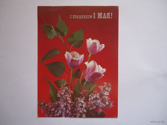 1 Мая.Чистая.1990г.