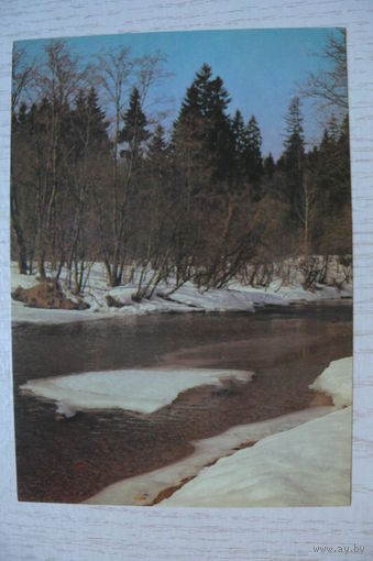 Листопадов О., Весна, 1990, чистая.