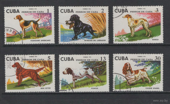Фауна Собаки Куба 1976 Породы охотничьих собак Used