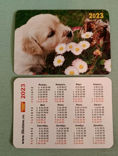 Календарик карманный 2023 щенок фауна