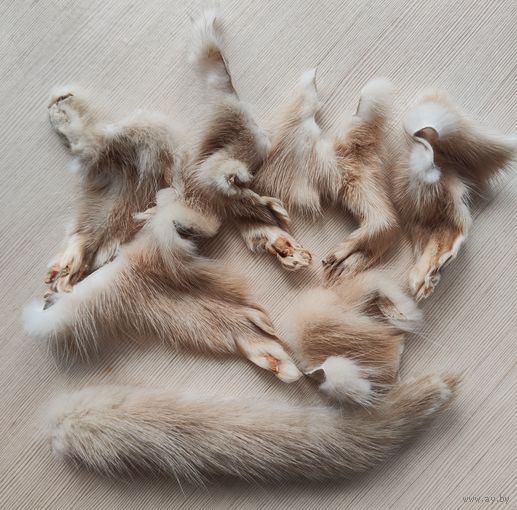 Мех норки натуральный- хвостик лапки для рукоделия