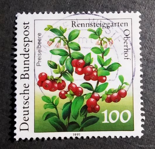 Марка Германия 1991 год Ягоды