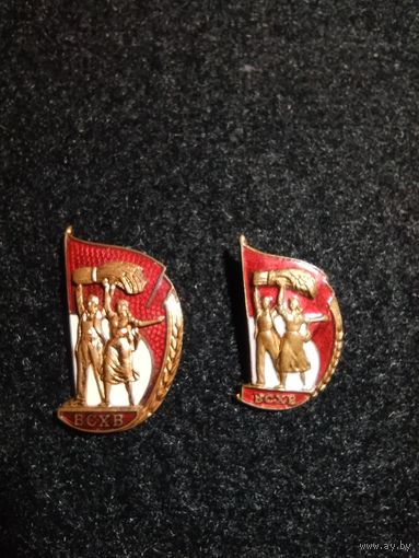 Два знака ВСХВ большой (накладной) и малый, т.м.