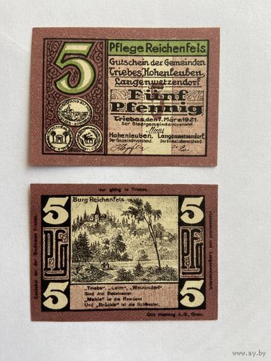 Нотгельд 5 пфеннигов Трайбс. Веймарская республика - 1602 (2)