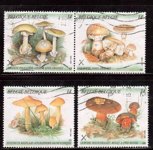 Бельгия-1991 (Мих.2470-2473) ,  гаш. , Флора, Грибы(полная серия)