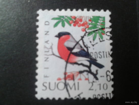 Финляндия 1991 стандарт, снегирь