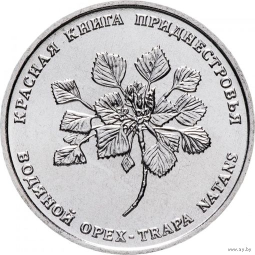 Приднестровье 1 рубль, 2019 Красная книга - Водяной орех (чилим) UNC