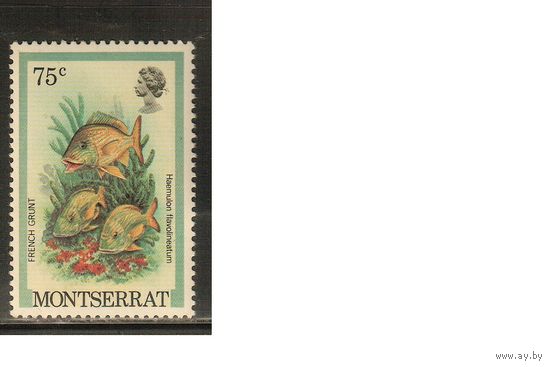 Монтсеррат-1981(Мих.454 I) , **    , Морская Фауна , Рыбы